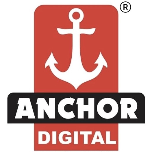 Electronic Weighing Machine Manufacturer in Gujarat | Anchor Digital Scales